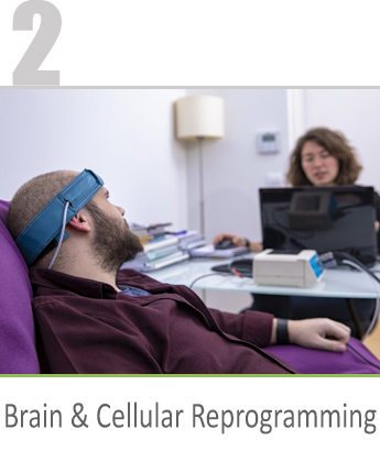 brain & cellular reprogramming
