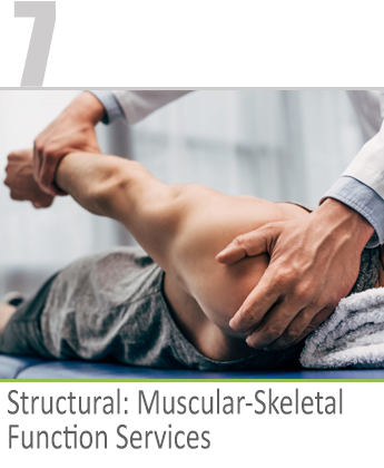 structural muscular-skeletal function services