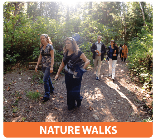 nature walks at emotional wellness retreat
